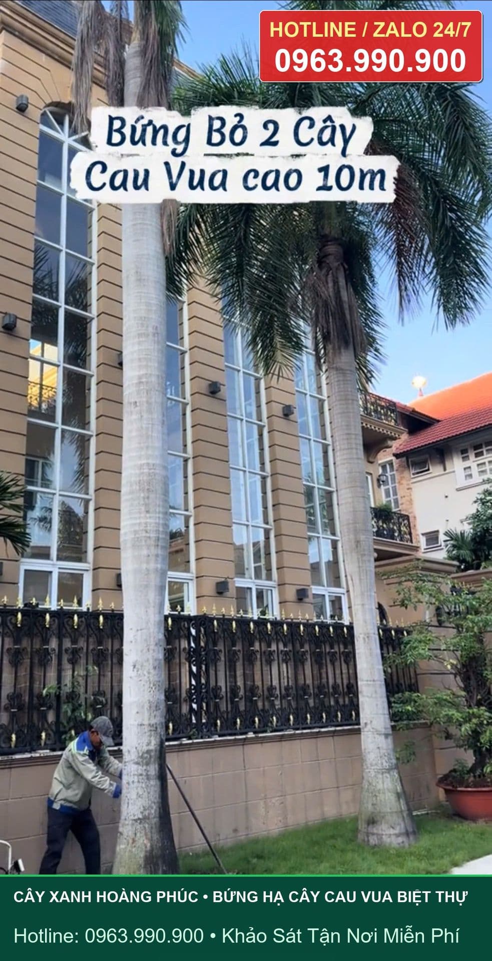 Những lưu ý khi trồng cây gần nhà